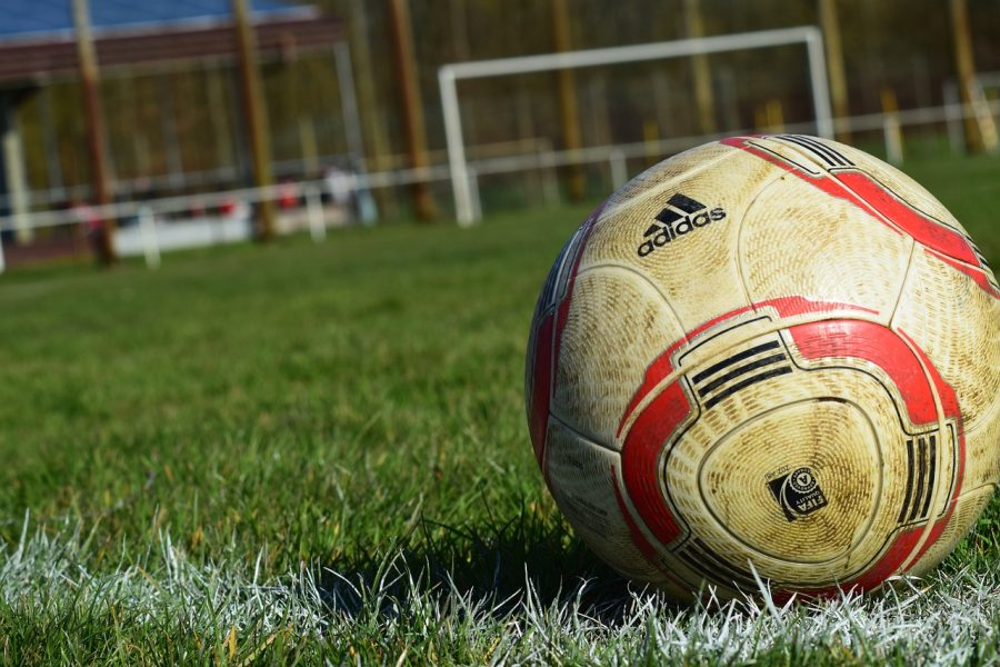 SPD kritisiert Kürzungen beim Sport Weniger Unterstützung für lippische Ehrenamtliche